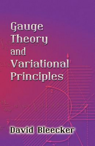 Kniha Gauge Theory and Variational Principles David Bleecker