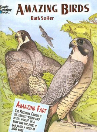 Kniha Amazing Birds Ruth Soffer