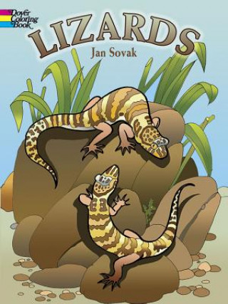 Kniha Lizards Jan Sovák