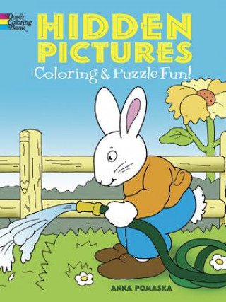 Kniha Hidden Pictures Coloring and Puzzle Fun Anna Pomaska