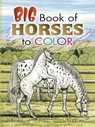 Книга Big Book of Horses to Color John Green