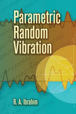 Carte Parametric Random Vibration Raouf A Ibrahim