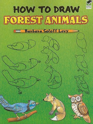 Kniha How to Draw Forest Animals Barbara Soloff Levy