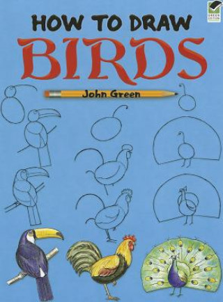 Kniha How to Draw Birds John Green
