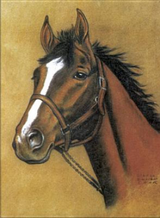 Kniha Horse Notebook Dover