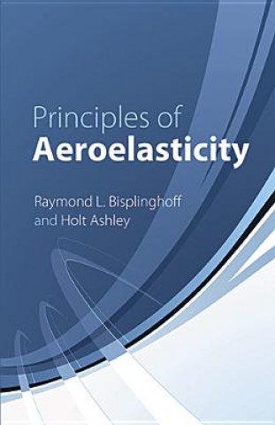 Kniha Principles of Aeroelasticity Bisplinghoff Raymond