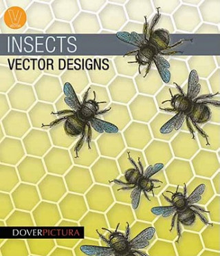 Carte Insects Vector Designs Alan Weller