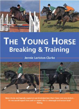 Kniha Young Horse Jennie Loriston Clarke