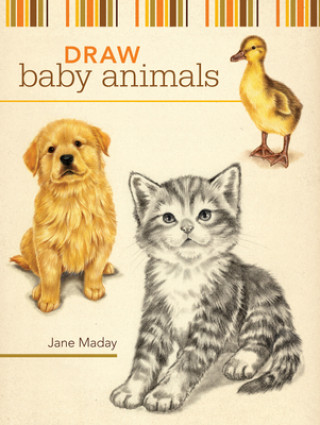 Kniha Draw Baby Animals Jane Maday