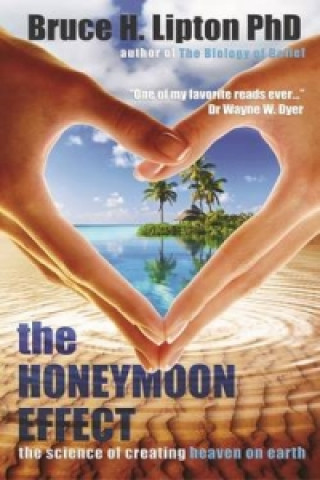 Könyv Honeymoon Effect Bruce Lipton