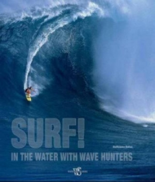 Book Surf! Guillaume Dufau
