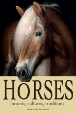 Libro Horses Susanna Cottica