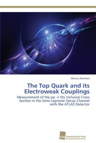 Carte Top Quark and its Electroweak Couplings Marcus Rammes