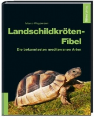 Kniha Landschildkröten-Fibel Marco Wagemann
