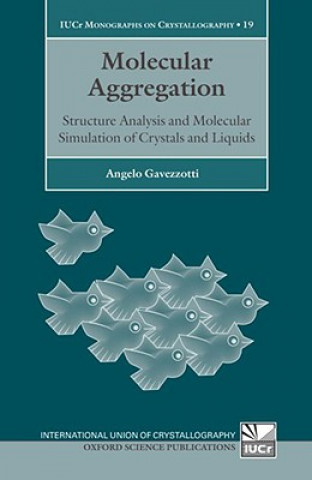 Kniha Molecular Aggregation Angelo Gavezzotti