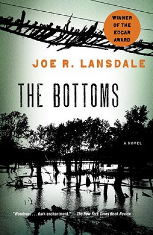 Książka Bottoms Joe R Lansdale