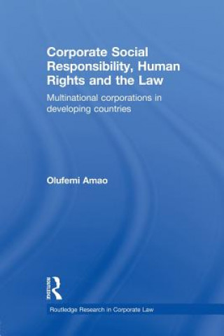 Книга Corporate Social Responsibility, Human Rights and the Law Amao