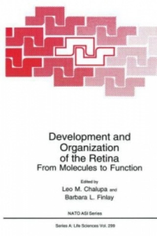 Könyv Development and Organization of the Retina Leo M. Chalupa