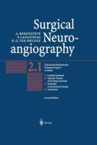 Könyv Surgical Neuroangiography Alejandro Berenstein