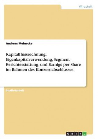 Carte Kapitalflussrechnung, Eigenkapitalverwendung, Segment Berichterstattung, und Earnigs per Share im Rahmen des Konzernabschlusses Andreas Meinecke