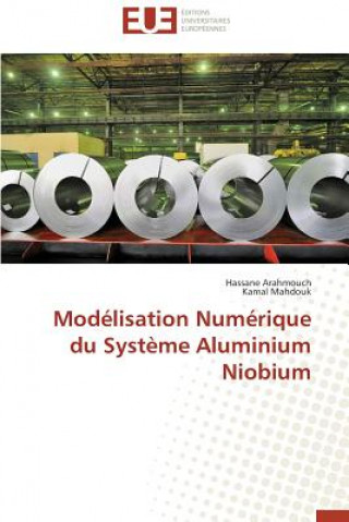 Könyv Mod lisation Num rique Du Syst me Aluminium Niobium Hassane Arahmouch