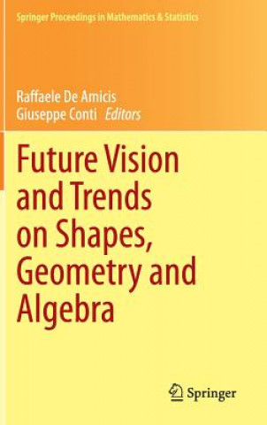 Kniha Future Vision and Trends on Shapes, Geometry and Algebra Raffaele de Amicis