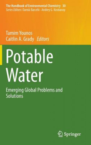 Buch Potable Water Tamim Younos