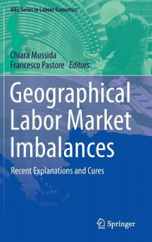 Könyv Geographical Labor Market Imbalances Chiara Mussida