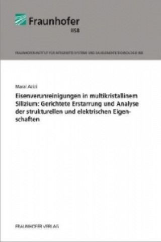 Kniha Eisenverunreinigungen in multikristallinem Silizium: Gerichtete Erstarrung und Analyse der strukturellen und elektrischen Eigenschaften. Maral Azizi