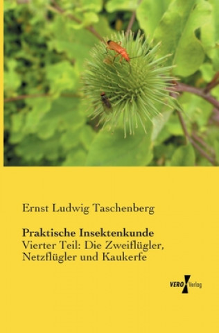 Kniha Praktische Insektenkunde Ernst Ludwig Taschenberg