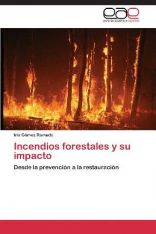 Könyv Incendios forestales y su impacto Iris Gómez Ramudo