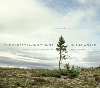 Kniha Oldest Living Things in the World Rachel Sussman