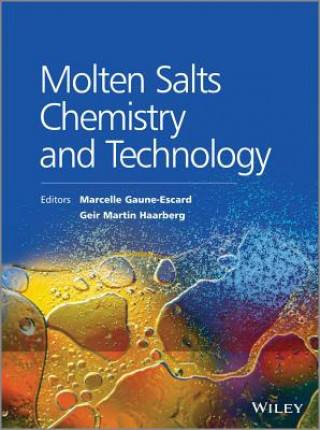 Kniha Molten Salts Chemistry and Technology Marcelle Gaune-Escard