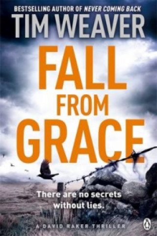 Kniha Fall From Grace Tim Weaver