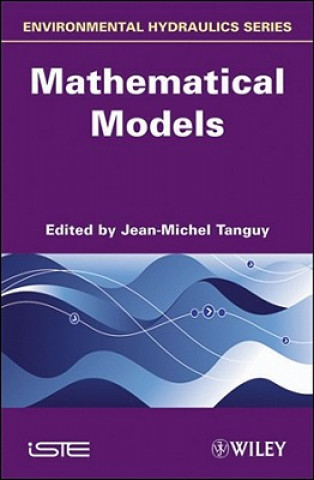 Kniha Environmental Hydraulics - Mathematical Models V 2 Jean-Michel Tanguy