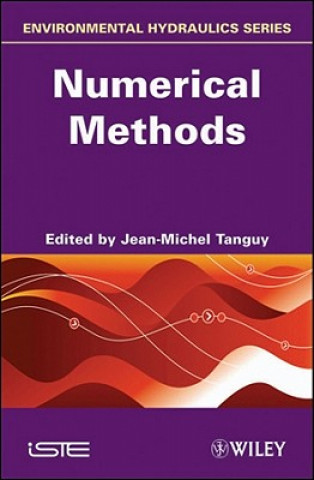 Kniha Environmental Hydraulics - Numerical Methods V 3 Jean-Michel Tanguy