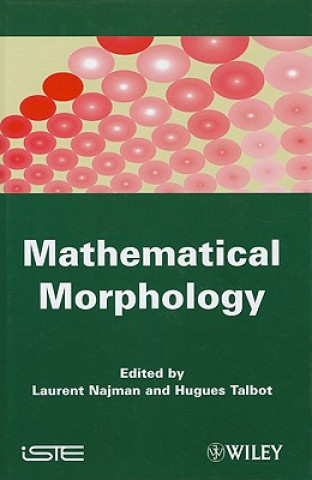 Boek Mathematical Morphology Laurent Najman