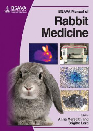 Carte BSAVA Manual of Rabbit Medicine Anna Meredith