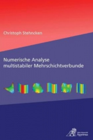 Buch Numerische Analyse multistabiler Mehrschichtverbunde Christoph Stehncken