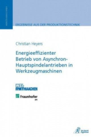 Libro Energieeffizienter Betrieb von Asynchron-Hauptspindelantrieben in Werkzeugmaschinen Christian Heyers