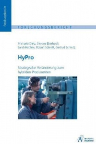 Kniha HyPro - Strategische Veränderung zum hybriden Produzenten, m. CD-ROM Michaela Dietz