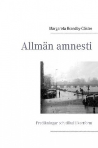 Buch Allmän amnesti Margareta Brandby-Cöster