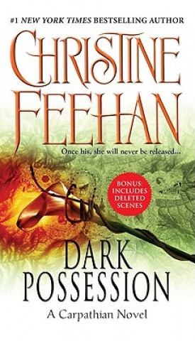 Книга Dark Possession Christine Feehan