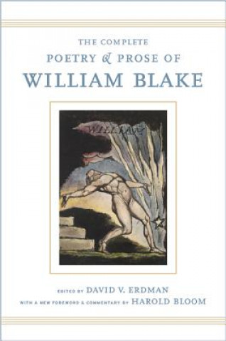Kniha Complete Poetry and Prose of William Blake William Blake