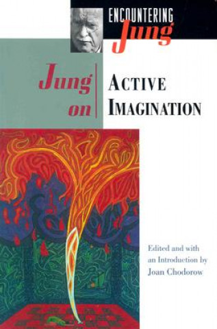 Książka Jung on Active Imagination C G Jung