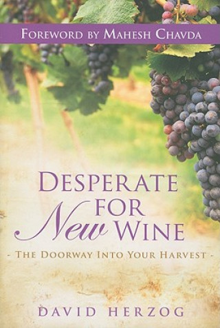 Kniha Desperate for New Wine David Herzog