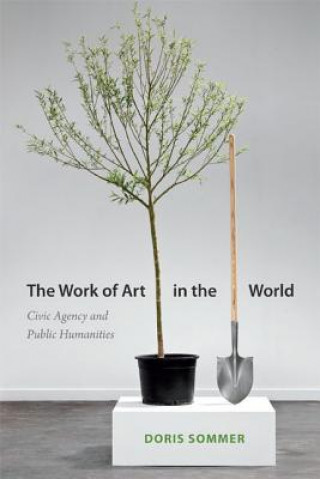 Boek Work of Art in the World Doris Sommer