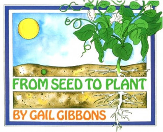 Kniha From Seed to Plant Gail Gibbons