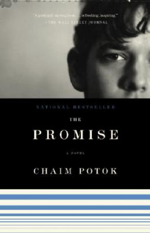 Книга Promise Chaim Potok
