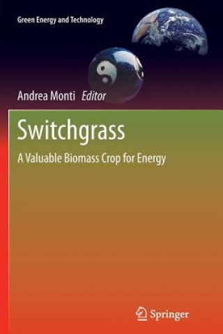 Книга Switchgrass Andrea Monti